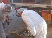 В Одесской области обнаружили радиоактивное загрязнения окружающей среды (Видео)