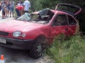 В ДТП на Житомирщине погиб поляк