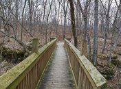 Какой завтра праздник: приметы и обряды на 14 ноября