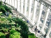 Які країни Європи стали першими послаблювати карантин