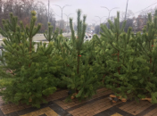 Ялинковий базар