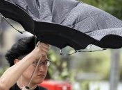 На Японию надвигается мощный тайфун Хагибис