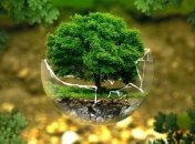 Если люди будут меньше есть мясо, то это сдержит глобальное потепление (Видео)