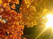 Когда в Украине будет "бабье лето": синоптики дали прогноз