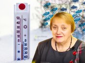 Вера Балабух отмечает: предстоящая зима будет похожа на предыдущие. Фото Коллаж "Телеграфа"