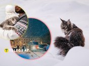 Снег в Украине