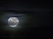 Богатый полнолуниями год: астрономы рассказали, каким будет 2020