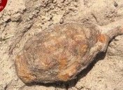 В Киеве на детской площадке нашли гранату