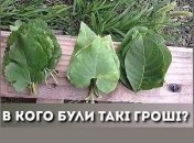 Любой плохой день можно легко исправить одним небольшим миллионом долларов: веселые шутки про деньги