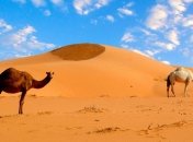 Ученые сделали неожиданное заявление о Сахаре