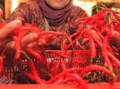 Перец чили вылечит насморк