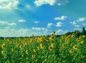 26 серпня - яке сьогодні свято, що категорично заборонено робити, головні прикмети