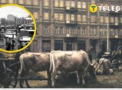 Львовская площадь