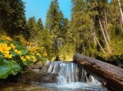 Собираемся в Карпаты: уникальные места для отдыха (Фото, Видео)