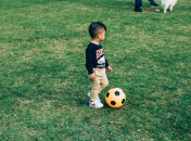 Зачем тратить деньги на спортивные секции для детей