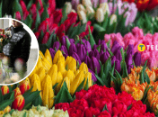 Работа для студентов