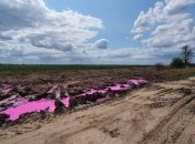 Розовые лужи на полях под Ровно: в полиции сообщили, что грозит провинившимся 