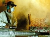 В Сальвадоре объявлена тревога в связи со вспышкой лихорадки