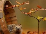 Прогноз погоды в Украине 3 сентября: ожидается небольшое потепление