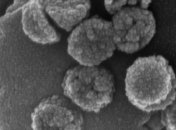 Ученые надеются на нано-очистители следующего поколения