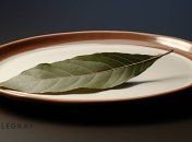 Лавровые листья используют не только в кулинарии