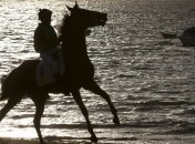 Литовец за 5 месяцев объехал Балтийское море верхом на лошадях