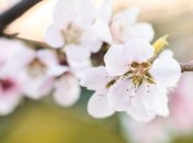 Яке свято 21 квітня: народні прикмети і заборони