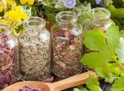 Целебные травы, которые позаботятся о поджелудочной