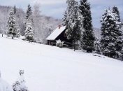 В Карпатах на лыжной трассе травмировалось трое туристов