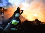 В Днепре масштабный пожар: горел ресторанный комплекс