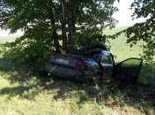 Авто с семьей и годовалым ребенком протаранило дерево на Черниговщине