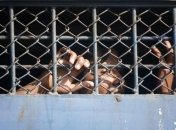 В Румынии охранники тюрем грозят забастовкой