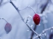 6 декабря - приметы в Митрофанов день