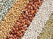 Украина нарастила экспорт масличных культур на 52%