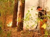 Украинцев предупредили о чрезвычайном уровне пожарной опасности