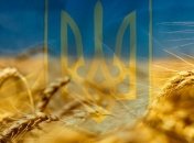 Украина попала топ-50 наиболее инновационных экономик в 2016 году