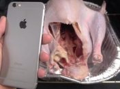 iPhone 6 запекли в индейке ко Дню благодарения (Видео)