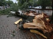 В Польше в результате ураганов погибли два человека