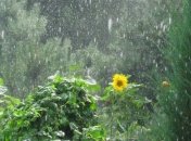 Снижение температуры вызовут дожди