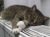 Науменко: Горячую воду в Киеве включат вместе с началом отопительного сезона