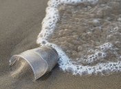 Как очистить океан от пластика: ответ экологов