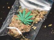 Пограничники за год изъяли более 3 тонн наркотиков