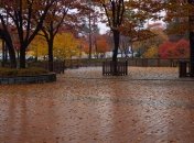 Осенний дождь