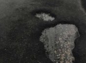 В Киевской области положенный под дождем асфальт "продержался" 55 дней (Фото)