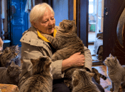 Женщина с котиками