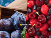 Хранение урожая фруктов и ягод на зиму