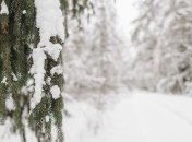 Какой праздник 11 февраля: народные приметы и запреты 