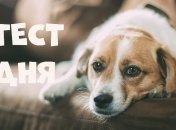 Пройдите тест и узнайте о своих жизненных ценностях