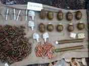 В Киевской области выявлен тайник со взрывчаткой и боеприпасами