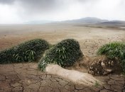 "Ми повинні це змінити": у скільки обійдеться призупинення глобального потепління